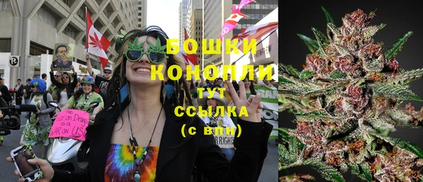 Альфа ПВП Белокуриха